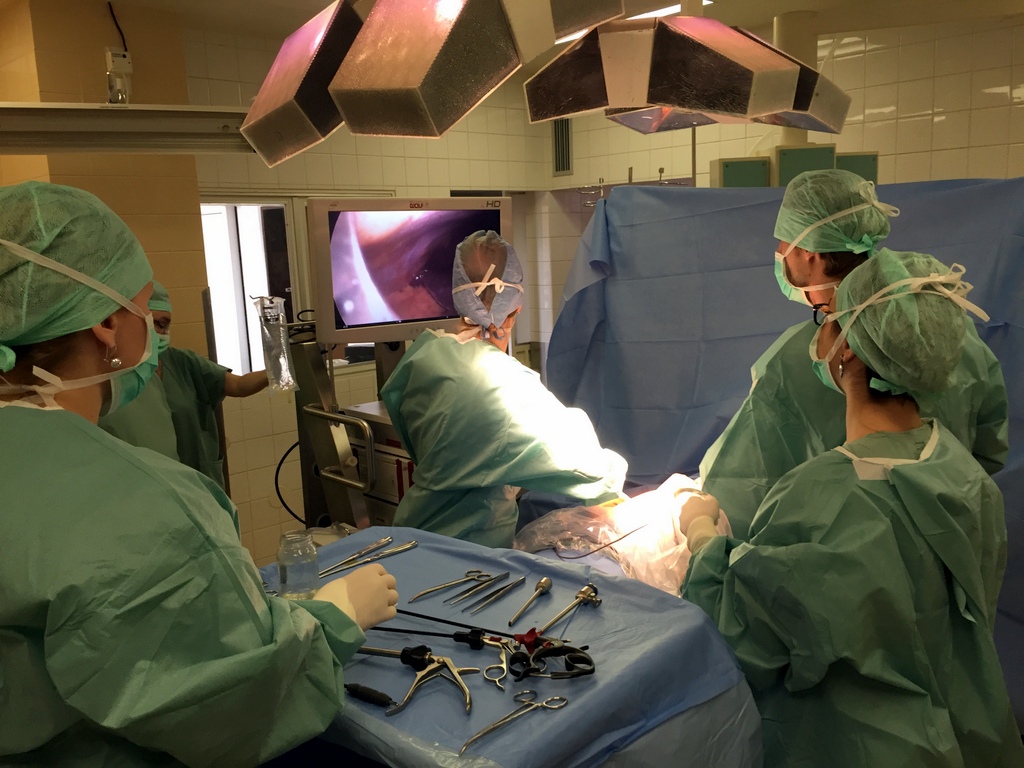 EUC partnerem konference ambulantní péče