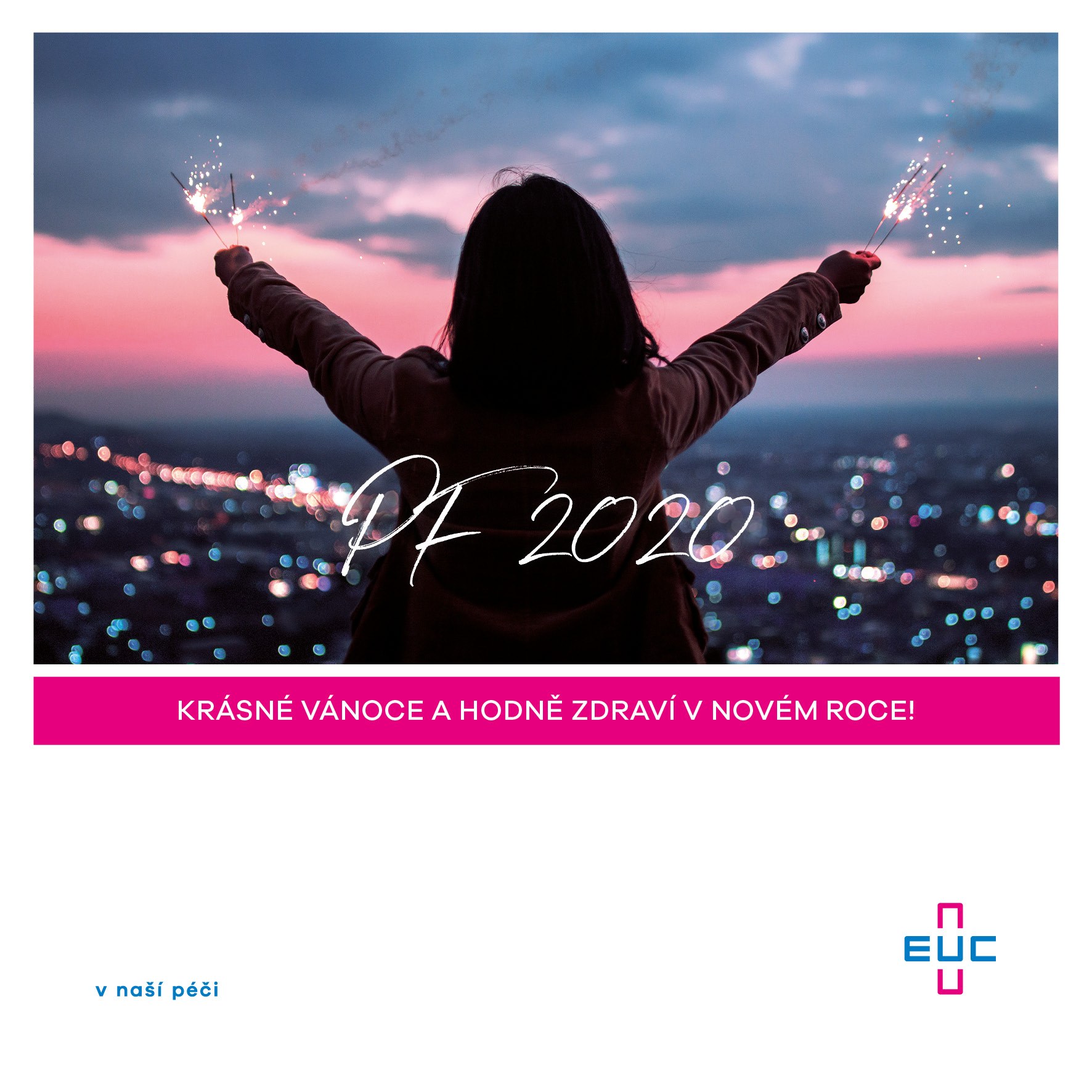 Krásné Vánoce a hodně zdraví v novém roce!