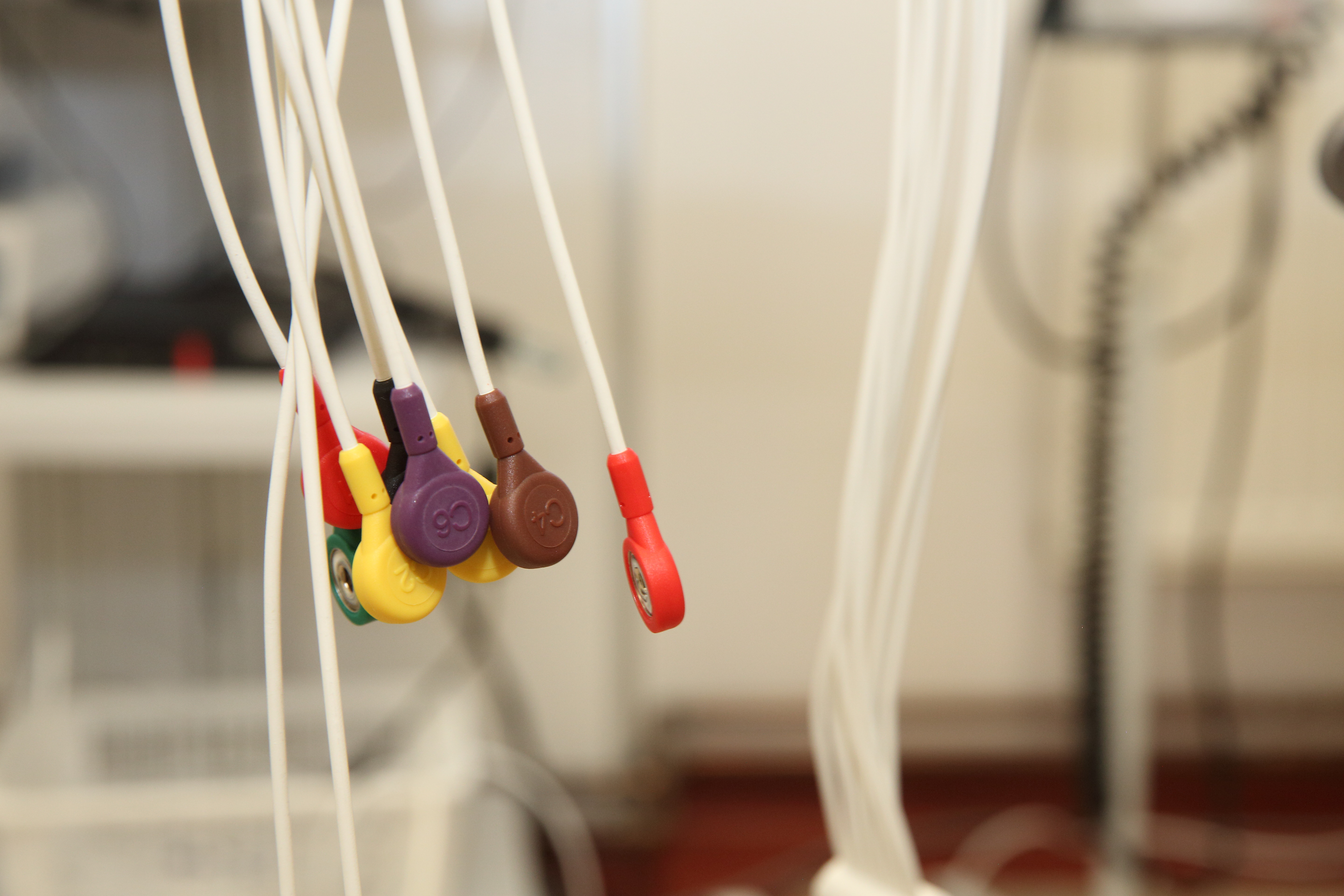 Poděkování členům sportovních oddílů