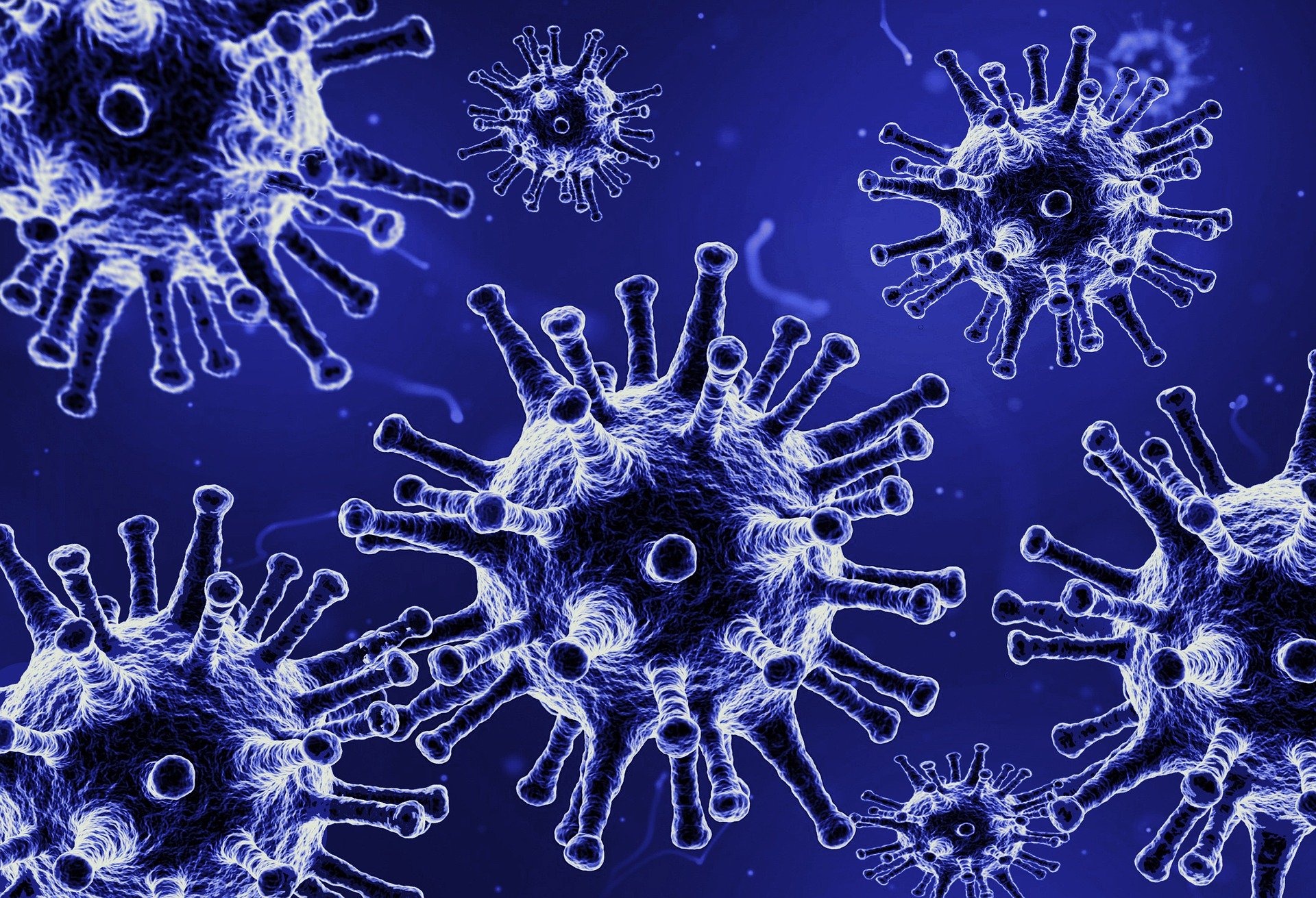 Koronavirus v otázkách a odpovědích