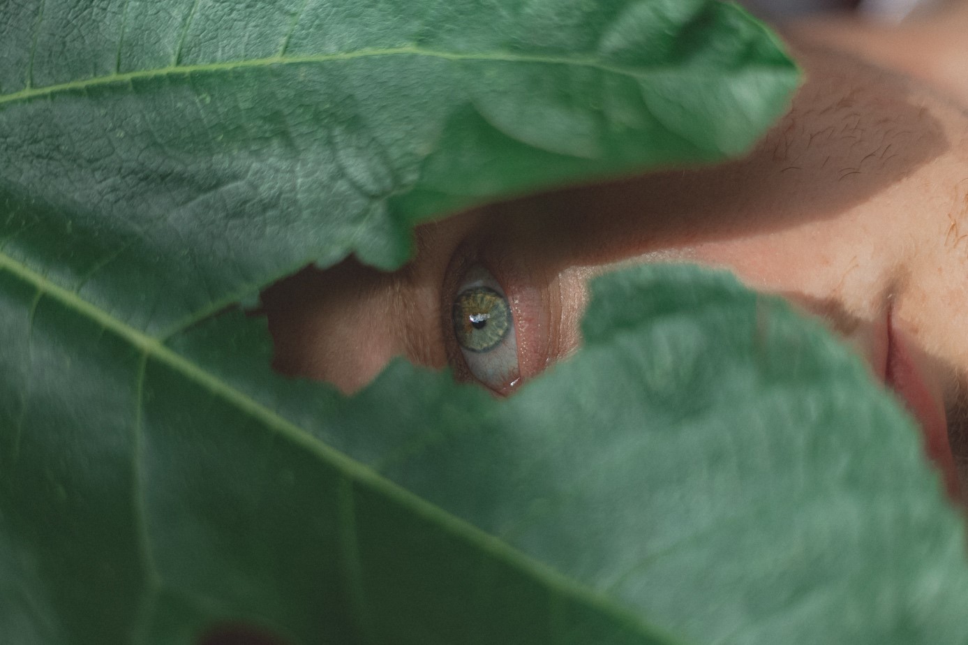 Ječné zrno – příčiny, léčba i prevence