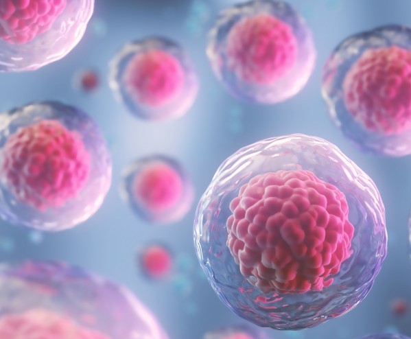 Chcete zjistit, jak jste na tom s buněčnou imunitou proti SARS-CoV-2?